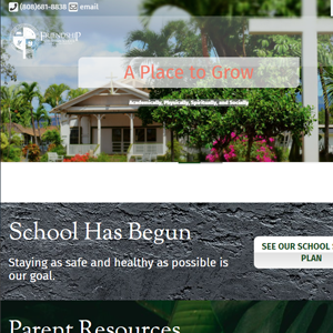 FCS Website Capture